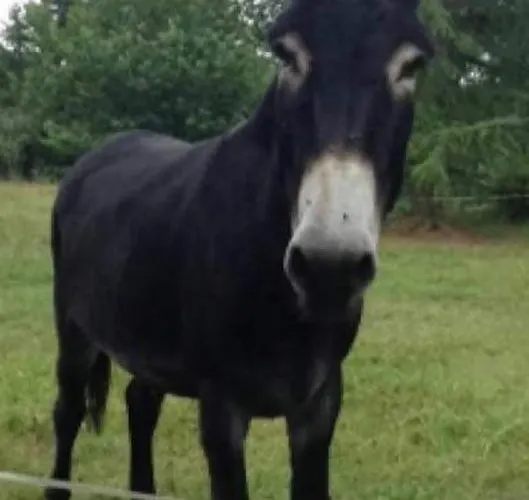 Feriehus Maison Confort A La Campagne